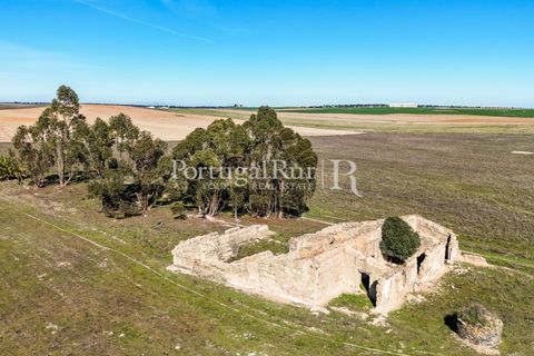 Farm i Castro Verde, Beja, Castro Verde - € 348.000 | Ref: FG376 - foto 2