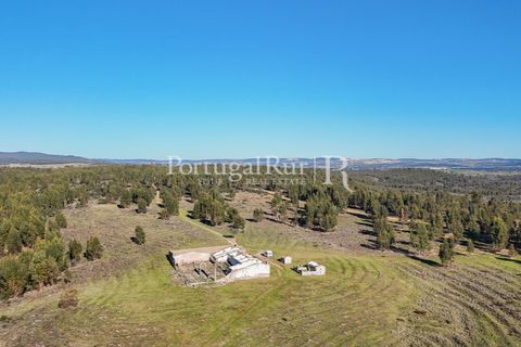 Landejendom i Alandroal, Evora, Alandroal - € 9.900.000 | Ref: JFM840 - foto 11