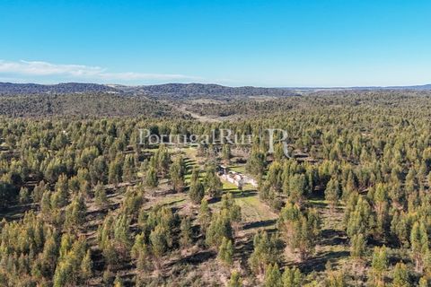 Landejendom i Alandroal, Evora, Alandroal - € 9.900.000 | Ref: JFM840 - foto 13
