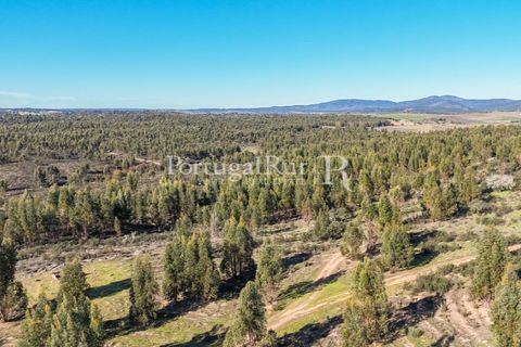 Landejendom i Alandroal, Evora, Alandroal - € 9.900.000 | Ref: JFM840 - foto 15