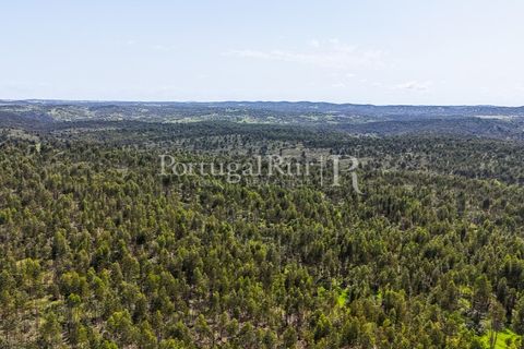 Landejendom i Alandroal, Evora, Alandroal - € 9.900.000 | Ref: JFM840 - foto 4