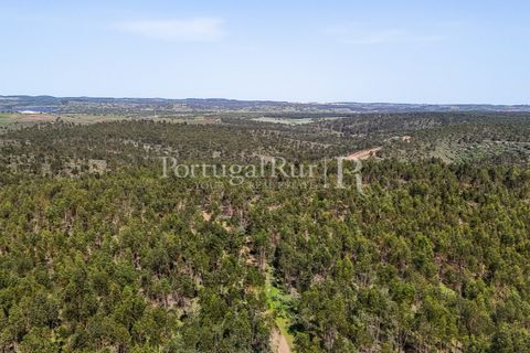 Landejendom i Alandroal, Evora, Alandroal - € 9.900.000 | Ref: JFM840 - foto 5