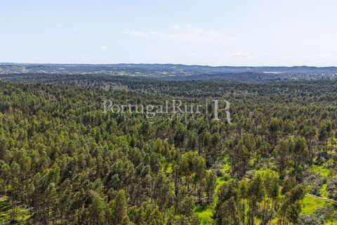 Landejendom i Alandroal, Evora, Alandroal - € 9.900.000 | Ref: JFM840 - foto 6