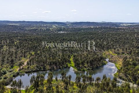 Landejendom i Alandroal, Evora, Alandroal - € 9.900.000 | Ref: JFM840 - foto 7
