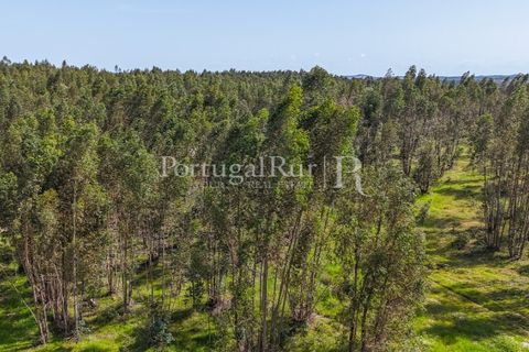 Landejendom i Alandroal, Evora, Alandroal - € 9.900.000 | Ref: JFM840 - foto 16