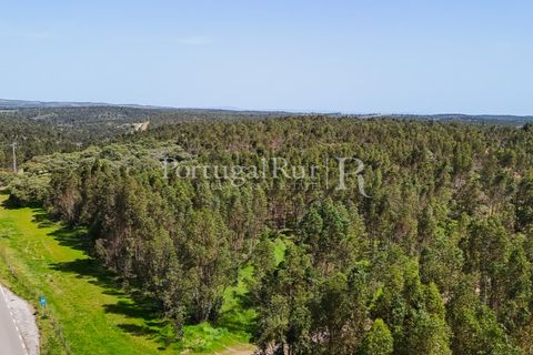 Landejendom i Alandroal, Evora, Alandroal - € 9.900.000 | Ref: JFM840 - foto 17