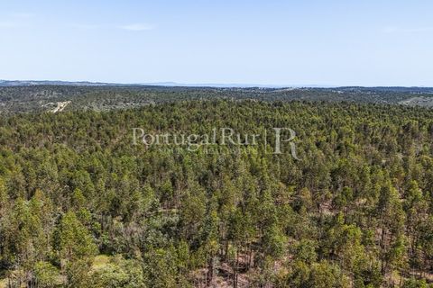 Landejendom i Alandroal, Evora, Alandroal - € 9.900.000 | Ref: JFM840 - foto 18