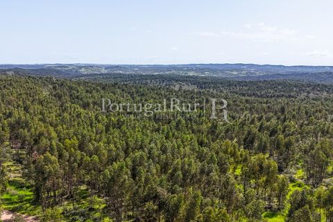 Landejendom i Alandroal, Evora, Alandroal - € 9.900.000 | Ref: JFM840 - foto 19