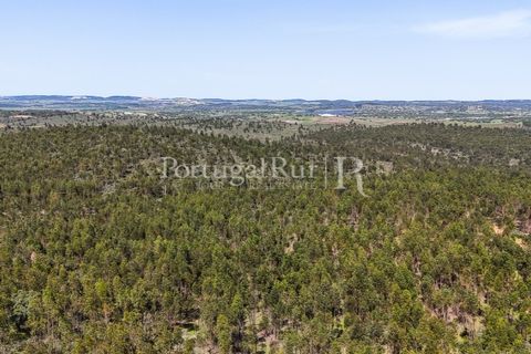 Landejendom i Alandroal, Evora, Alandroal - € 9.900.000 | Ref: JFM840 - foto 20