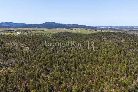 Landejendom i Alandroal, Evora, Alandroal - € 9.900.000 | Ref: JFM840 - foto 21