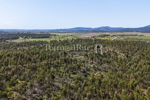 Landejendom i Alandroal, Evora, Alandroal - € 9.900.000 | Ref: JFM840 - foto 22