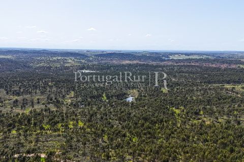 Landejendom i Alandroal, Evora, Alandroal - € 9.900.000 | Ref: JFM840 - foto 23