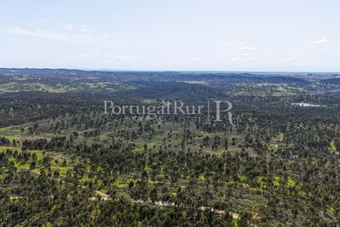Landejendom i Alandroal, Evora, Alandroal - € 9.900.000 | Ref: JFM840 - foto 24