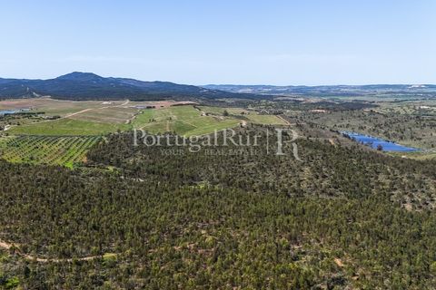 Landejendom i Alandroal, Evora, Alandroal - € 9.900.000 | Ref: JFM840 - foto 25