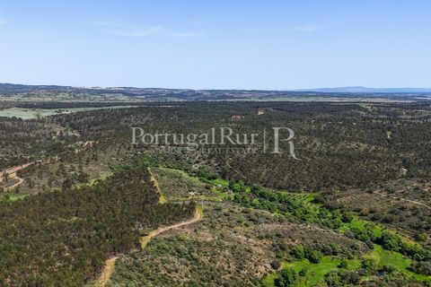 Landejendom i Alandroal, Evora, Alandroal - € 9.900.000 | Ref: JFM840 - foto 26