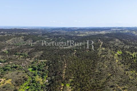 Landejendom i Alandroal, Evora, Alandroal - € 9.900.000 | Ref: JFM840 - foto 27