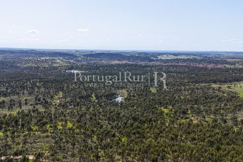 Landejendom i Alandroal, Evora, Alandroal - € 9.900.000 | Ref: JFM840 - foto 29