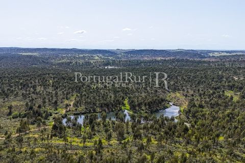 Landejendom i Alandroal, Evora, Alandroal - € 9.900.000 | Ref: JFM840 - foto 30