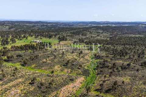 Landejendom i Alandroal, Evora, Alandroal - € 9.900.000 | Ref: JFM840 - foto 31