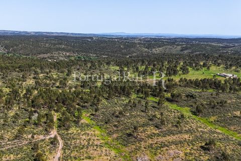 Landejendom i Alandroal, Evora, Alandroal - € 9.900.000 | Ref: JFM840 - foto 32