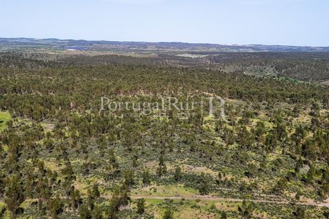 Landejendom i Alandroal, Evora, Alandroal - € 9.900.000 | Ref: JFM840 - foto 33