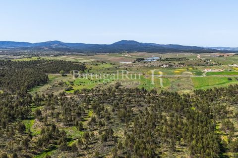 Landejendom i Alandroal, Evora, Alandroal - € 9.900.000 | Ref: JFM840 - foto 34