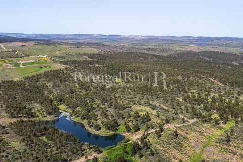 Landejendom i Alandroal, Evora, Alandroal - € 9.900.000 | Ref: JFM840 - foto 35