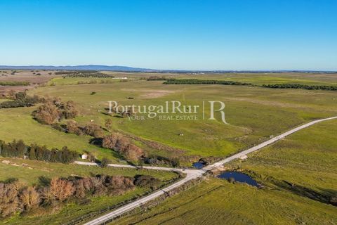 Masia a Evora, Evora, Evora - € 13.000.000 | Ref: JFM892 - foto 3