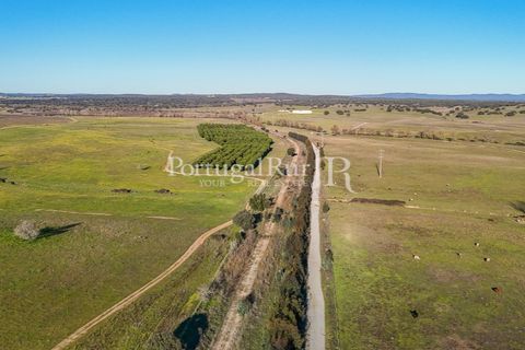 Masia a Evora, Evora, Evora - € 13.000.000 | Ref: JFM892 - foto 12