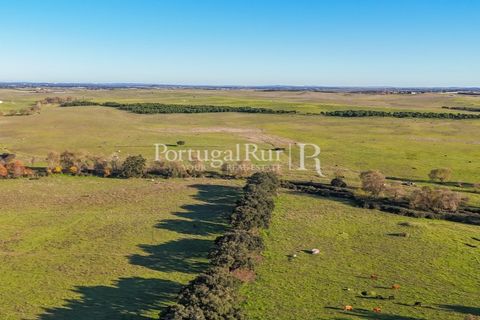 Masia a Evora, Evora, Evora - € 13.000.000 | Ref: JFM892 - foto 13