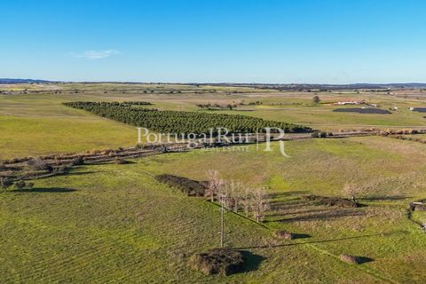 Masia a Evora, Evora, Evora - € 13.000.000 | Ref: JFM892 - foto 14