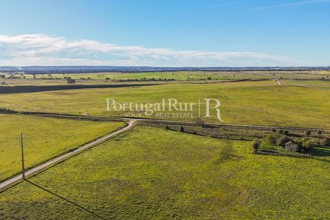 Masia a Evora, Evora, Evora - € 13.000.000 | Ref: JFM892 - foto 15