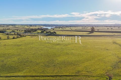 Masia a Evora, Evora, Evora - € 13.000.000 | Ref: JFM892 - foto 16