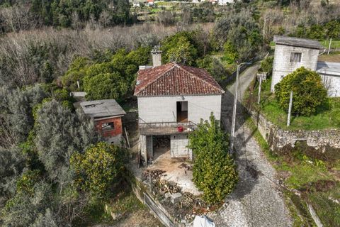 Farm i Amares, Braga, Amares - € 191.070 | Ref: 211907 - foto 17