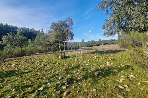 Helårsgrund i Castelo Branco, Castelo Branco, Castelo Branco - € 35.000 | Ref: H724 - foto 2
