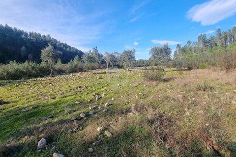 Helårsgrund i Castelo Branco, Castelo Branco, Castelo Branco - € 35.000 | Ref: H724 - foto 3