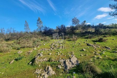 Helårsgrund i Castelo Branco, Castelo Branco, Castelo Branco - € 35.000 | Ref: H724 - foto 4