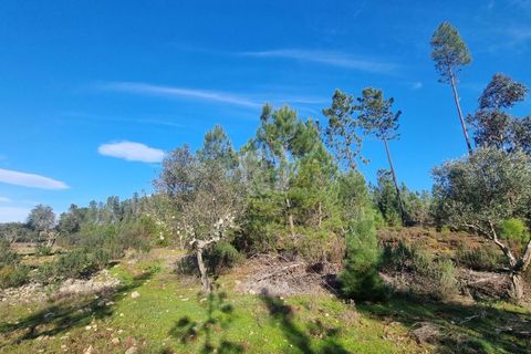 Helårsgrund i Castelo Branco, Castelo Branco, Castelo Branco - € 35.000 | Ref: H724 - foto 5