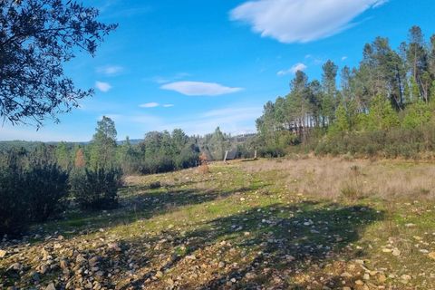 Helårsgrund i Castelo Branco, Castelo Branco, Castelo Branco - € 35.000 | Ref: H724 - foto 6