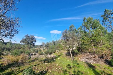 Helårsgrund i Castelo Branco, Castelo Branco, Castelo Branco - € 35.000 | Ref: H724 - foto 7