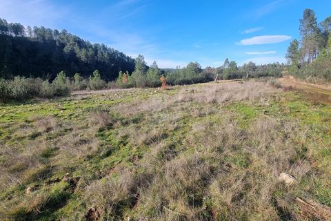 Helårsgrund i Castelo Branco, Castelo Branco, Castelo Branco - € 35.000 | Ref: H724 - foto 9