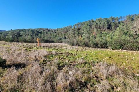 Helårsgrund i Castelo Branco, Castelo Branco, Castelo Branco - € 35.000 | Ref: H724 - foto 10