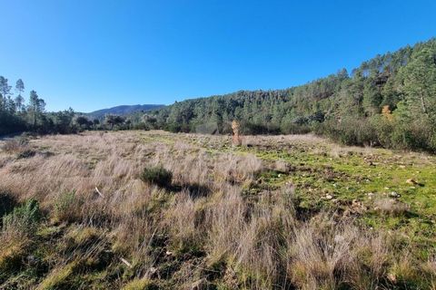 Helårsgrund i Castelo Branco, Castelo Branco, Castelo Branco - € 35.000 | Ref: H724 - foto 11