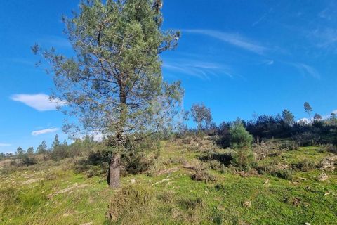Helårsgrund i Castelo Branco, Castelo Branco, Castelo Branco - € 35.000 | Ref: H724 - foto 12