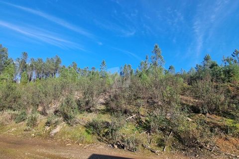 Helårsgrund i Castelo Branco, Castelo Branco, Castelo Branco - € 35.000 | Ref: H724 - foto 15
