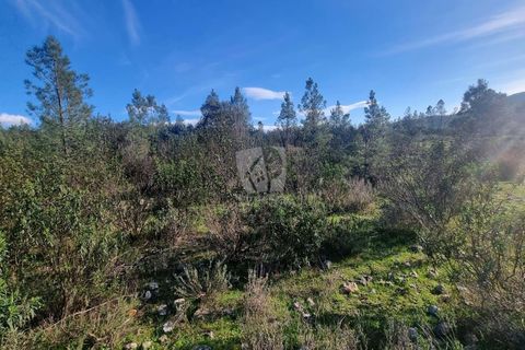 Helårsgrund i Castelo Branco, Castelo Branco, Castelo Branco - € 35.000 | Ref: H724 - foto 16
