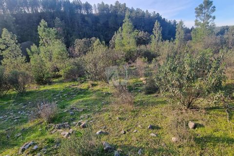 Helårsgrund i Castelo Branco, Castelo Branco, Castelo Branco - € 35.000 | Ref: H724 - foto 17