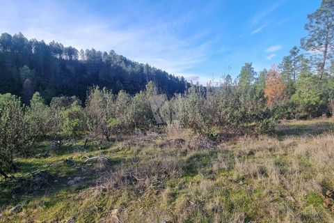 Helårsgrund i Castelo Branco, Castelo Branco, Castelo Branco - € 35.000 | Ref: H724 - foto 18