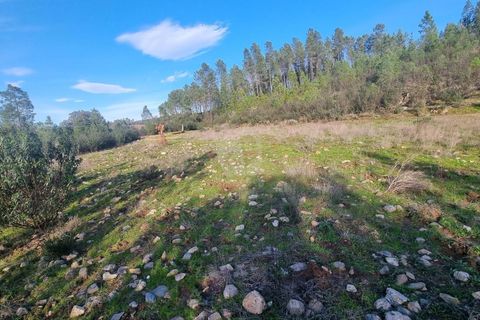 Helårsgrund i Castelo Branco, Castelo Branco, Castelo Branco - € 35.000 | Ref: H724 - foto 20