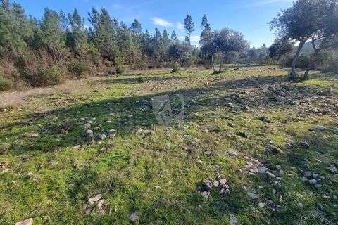 Helårsgrund i Castelo Branco, Castelo Branco, Castelo Branco - € 35.000 | Ref: H724 - foto 21